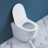 Унитаз безободковый приставной BelBagno SFERA-R BB2141CBR