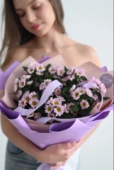 Сиреневые сантинии