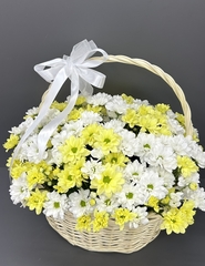 Корзина "ромашек" (15 веток)