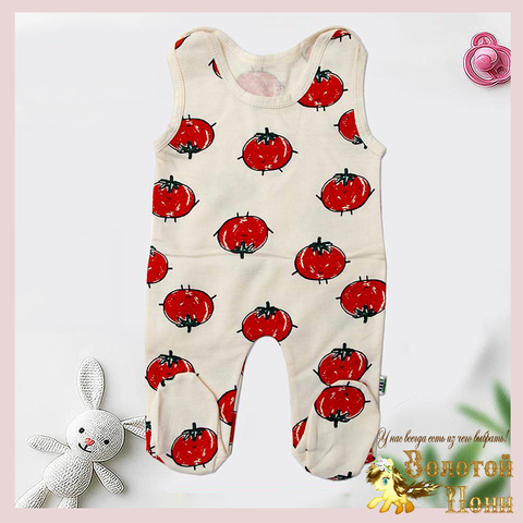 Ползунки начес д (62-86) 251204-W2199