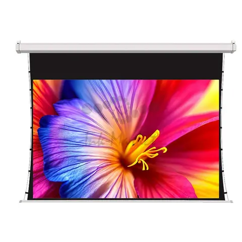 Экран для проектора S'OK SCPSMT-360x270FG-ED60 177 " 4:3 настенно-потолочный, моторизованный с боковым натяжением, белый, ED60 см