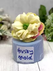 Силиконовая форма 