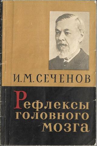 Рефлексы головного мозга