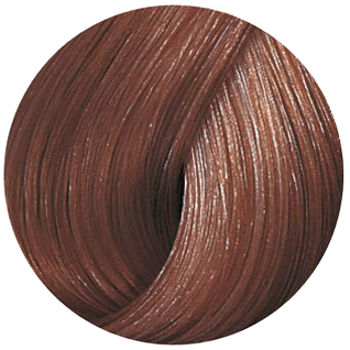 Купить Wella Professional Color Touch Rich Naturals 6/37 (Темный блонд ...
