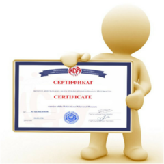 Зимина Дарья Игоревна