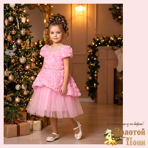 Платье нарядное на корсете (6-9) 251204-W2110