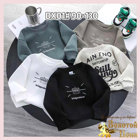 Свитшот хлопок м (2-7) 260201-TR1212