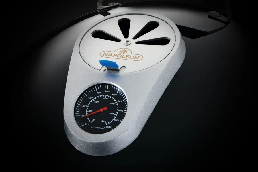 Угольный гриль-смокер Napoleon, Apollo 18"