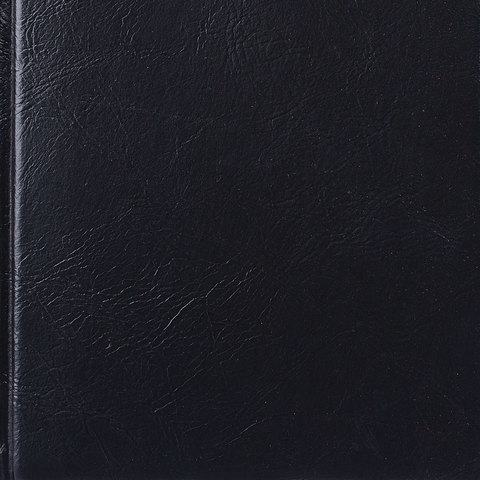 Ежедневник недатированный А5 (138х213 мм) BRAUBERG 