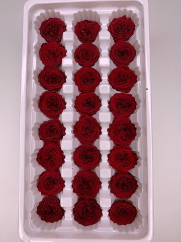 Роза пионовидная  2-3 см Темно-красная ( половина коробки-10шт)