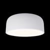 Потолочный светильник Loft It Axel 10201/350 White