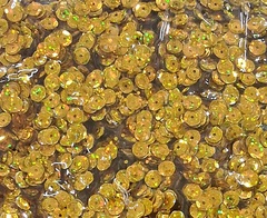 Пайетки, 6 мм, 100 гр, голографический золото