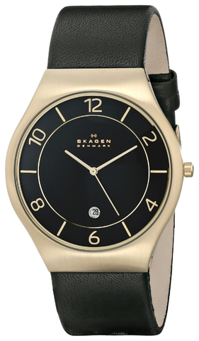 Наручные часы Skagen SKW6145 фото