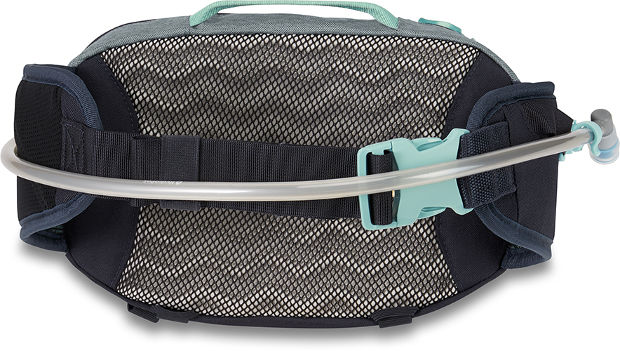 Dakine 5l hip pack hot sale