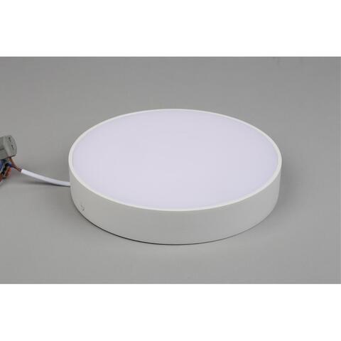 Потолочный светодиодный светильник Aployt Evon APL.0113.09.24