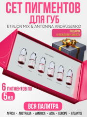 Сет пигментов для губ Etalon Mix & Antonina Andrusenko 6 шт по 5мл