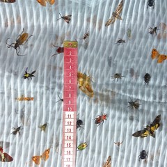 шелковый шифон голубой италия