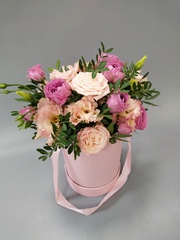 Композиции