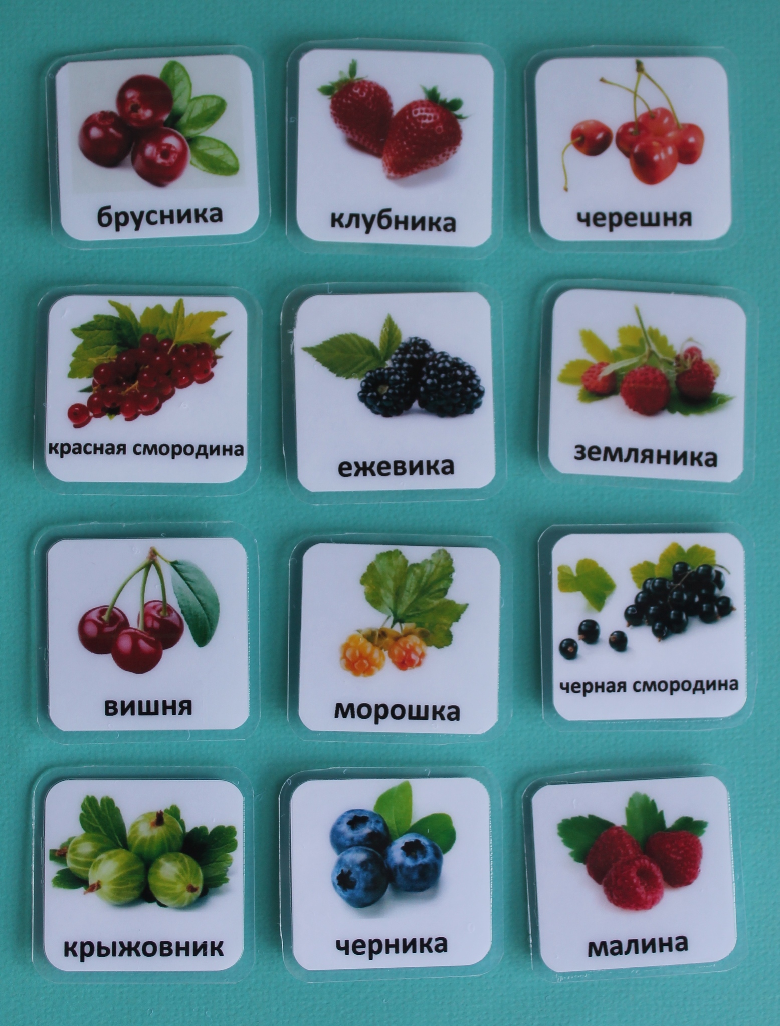 Список ягод – различных видов