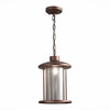 Светильник уличный подвесной ST Luce Lastero SL080.403.01