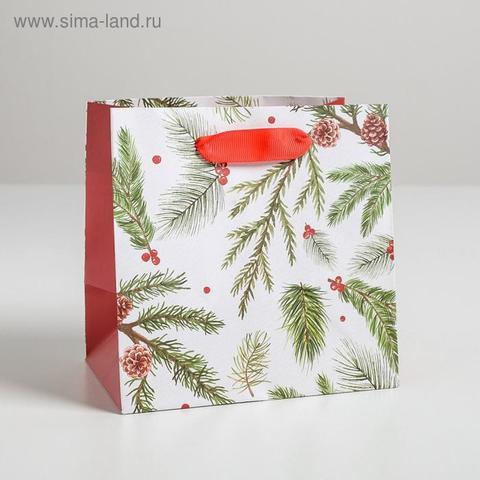 Пакет ламинированный квадратный «Еловый лес», 14 × 14 × 9 см