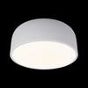 Потолочный светильник Loft It Axel 10201/350 White