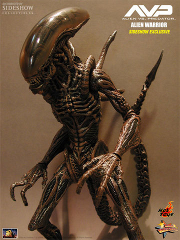 Alien vs. Predator - Alien Warrior Model Special Edition MMS29