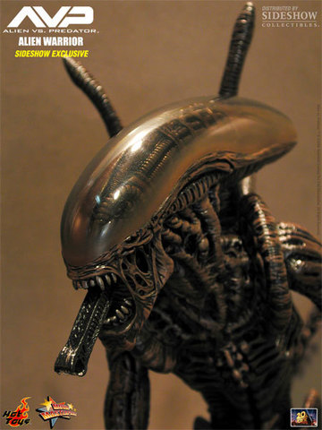 Alien vs. Predator - Alien Warrior Model Special Edition MMS29