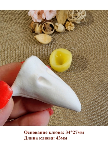 Вайнер клюв жар-птицы 