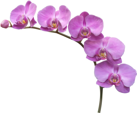 Грунт (субстрат) для орхидей 1 л.