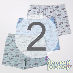 2 (3-4 года)