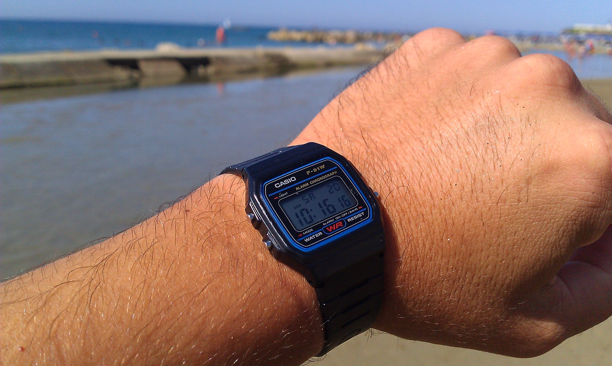 Наручные часы Casio F-91W-1DG - купить 