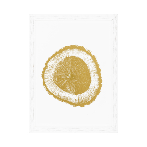Eichholtz Prints Gold Foil: Tree Rings set of 4 арт.110875