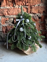 Елка из нобилиса h-25