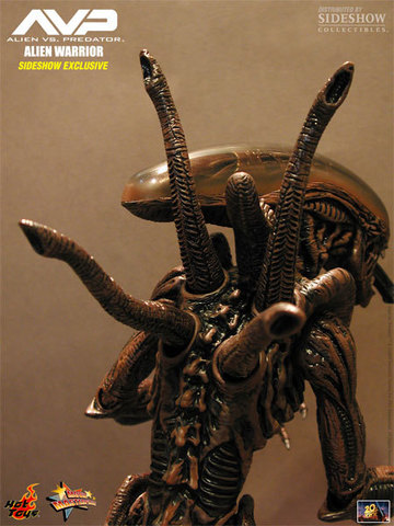 Alien vs. Predator - Alien Warrior Model Special Edition MMS29