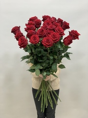 Букет 25 метровых роз красные в ленте