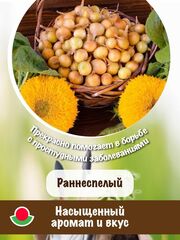 Лук-севок семейный Погарский местный улучшенный, 250 гр