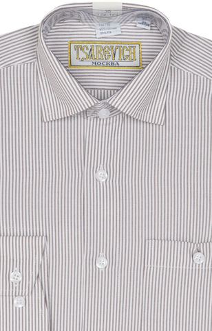 Рубашка школьная в бело-коричневую полоску TSAREVICH