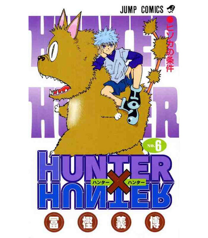 Hunter x Hunter Vol. 6 (на японском языке)