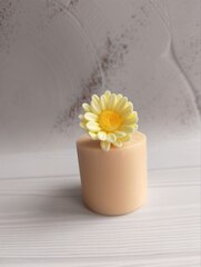 Силиконовая форма 