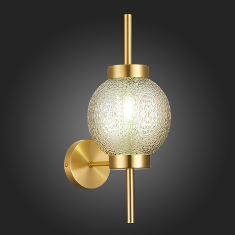 Светильник настенный ST Luce Marena SL1155.301.01