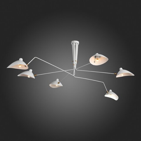 Люстра потолочная ST Luce Spruzzo SL305.502.06