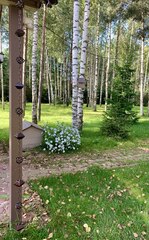 Дождевая цепь 