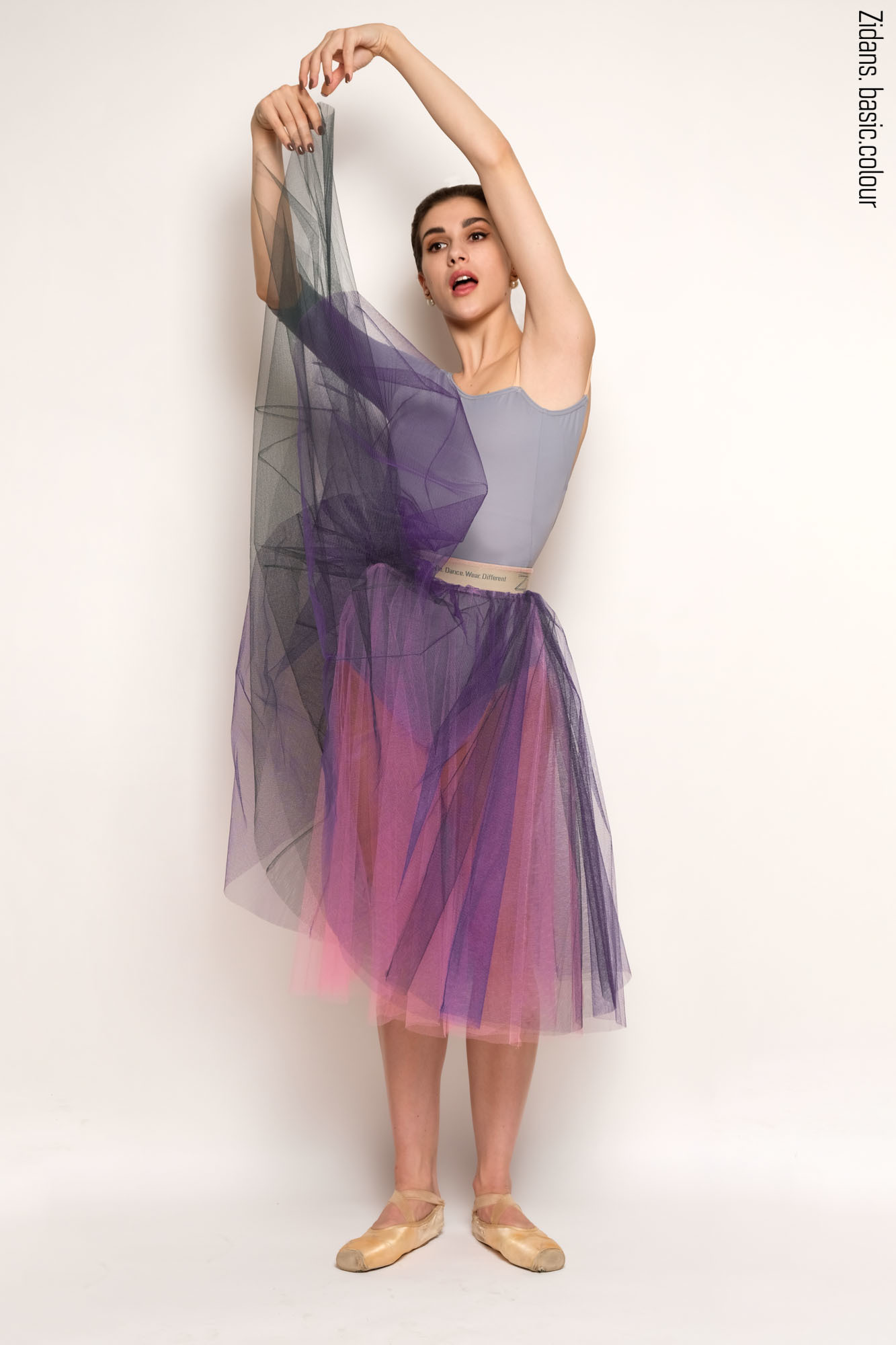 Set: leotard and tulle for ballet and dance