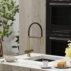 SC4010BGbh Смеситель для кухни SANCOS IMOLA,с гибким изливом, краном для фильтрованной воды, гибким