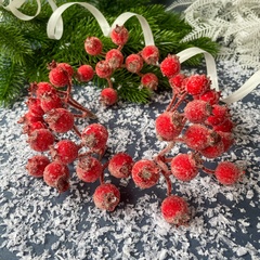 №2 Ягоды Шиповника зонтиком в сахарной обсыпке, на ветке 9 ягод по 15 мм, набор 5 шт.