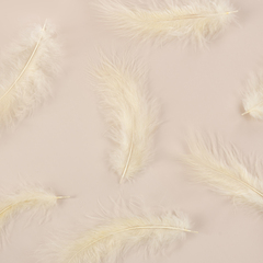 Перья Кремовый, 12*15 см, 30 шт