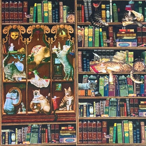 КОТЫ НА КНИЖНЫХ ПОЛКАХ  купон 42/110 см