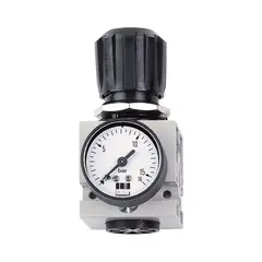 Регулятор давления с манометром DM 1/4 W Schneider airsystems DGKD202002