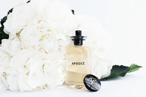 LOUIS VUITTON APOGEE